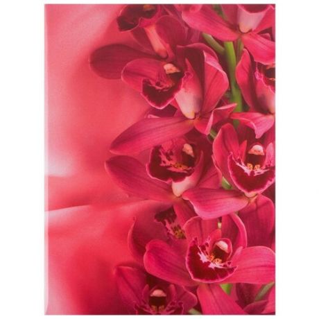 Имидж Папка адресная Цветы А4 ламинированный картон, розовая
