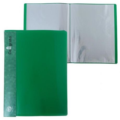 Calligrata Папка 60 прозрачных вкладышей A4, пластик, зелeный