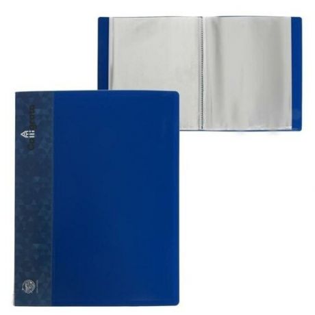 Calligrata Папка на 100 файлов А4, карман на корешке, пластик 700 мкм, синий