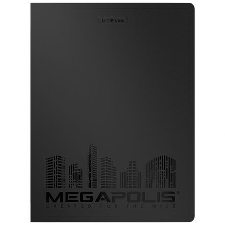 ErichKrause Папка файловая с 40 карманами MEGAPOLIS A4, черный