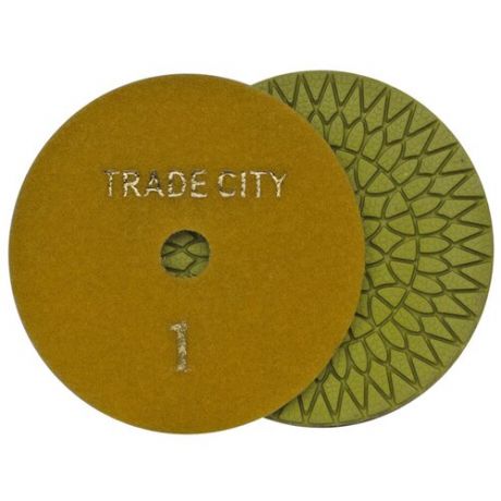 Алмазный гибкий шлифовальный круг TRADECITY Цветочек Pads 4- STEP 100D №1