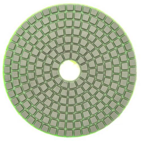 Алмазный гибкий шлифовальный круг (черепашка), 100мм, Р2000, Чеглок