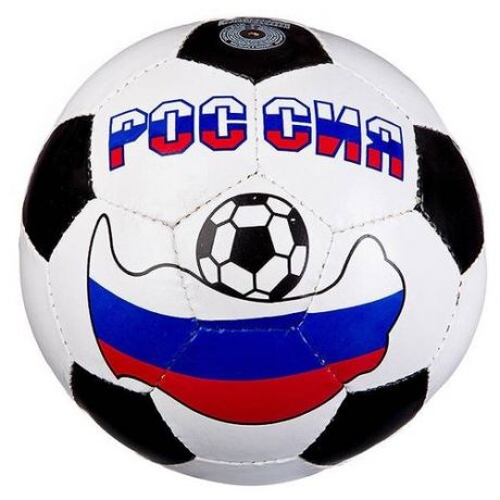Футбольный мяч Россия Т15367 белый/черный 5