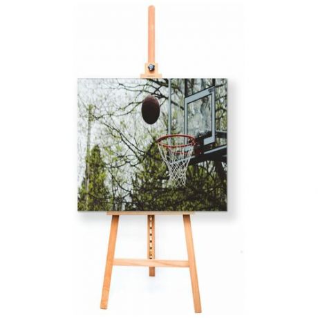 Интерьерная картина Coolpodarok Баскетбол Баскетбольный мяч летит в сетку