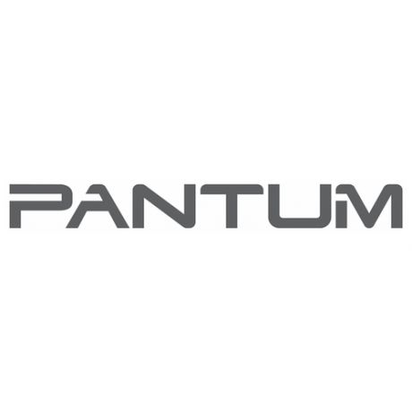 Pantum Фотобарабан Pantum Drum unit DO-428 for P3308DN/RU, P3308DW/RU, M7108DN/RU, M7108DW/RU (30000 pages) (DO-428)
