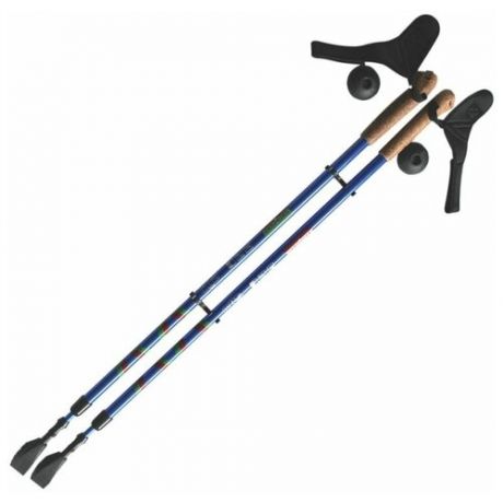 Палки для скандинавской ходьбы со сменными комплектующими Ergoforce E-0673 сине-серебристый