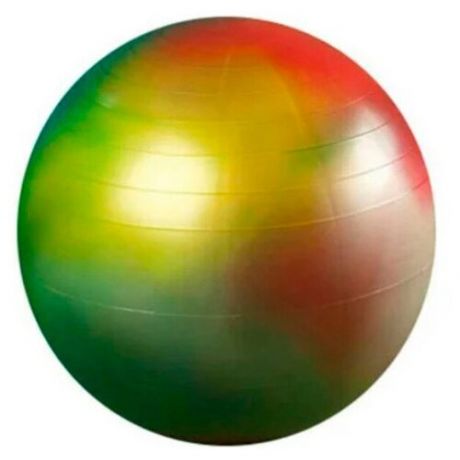 Мяч Orto Gymnic Arte с BRQ 65cm