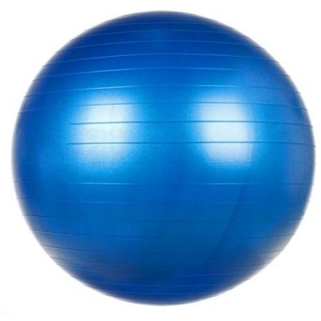Vega VEGA-501/65 Мяч гимнастический 65см Синий