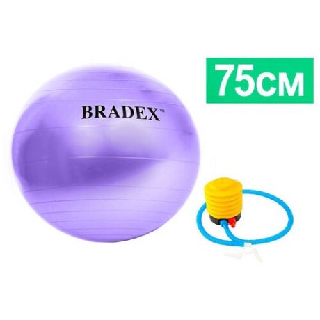 Мяч для фитнеса фитбол-75 брадекс с насосом фиолетовый sf 0719