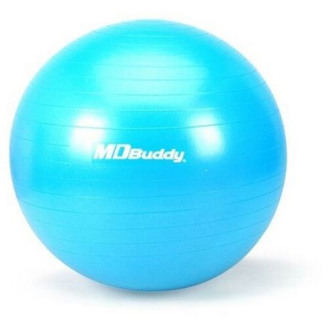 спортивные товары MD Buddy Гимнастический мяч MD Buddy MD1225 65 см