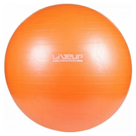 Мяч гимнастический Live Up LS3221, 55 см