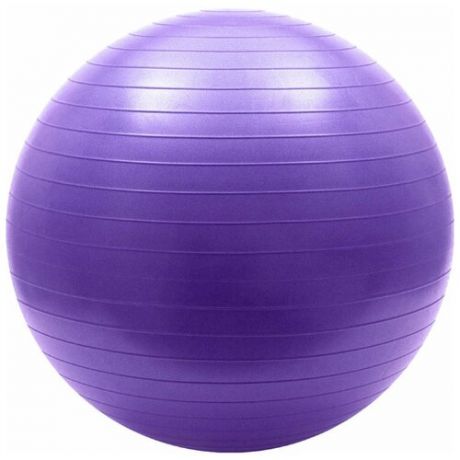FBA-55-4 Мяч гимнастический Anti-Burst 55 см (фиолетовый)