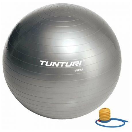 Фитбол Tunturi Gymball, 65 см, серебристый, с насосом