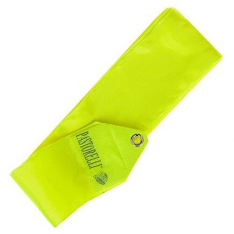Лента гимнастическая PASTORELLI одноцветная, 6 м, FIG, цвет жёлтый флуоресцентный