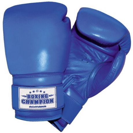 Боксерские перчатки ROMANA ДМФ-МК-01.70 синий 6 oz