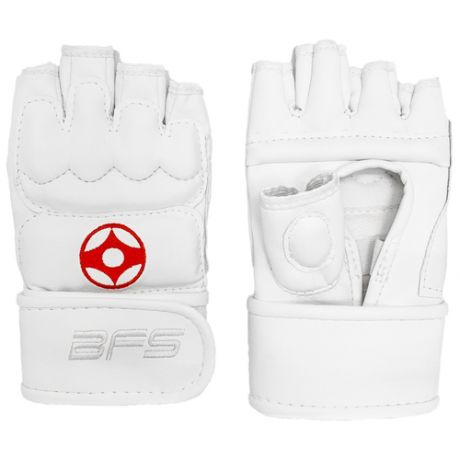 Перчатки для Кекусинкай Карате модель Pro - BFS