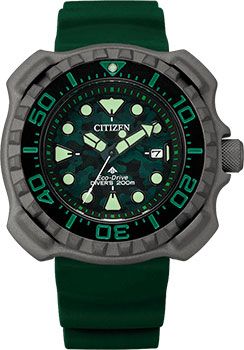 Часы Citizen BN0228-06W