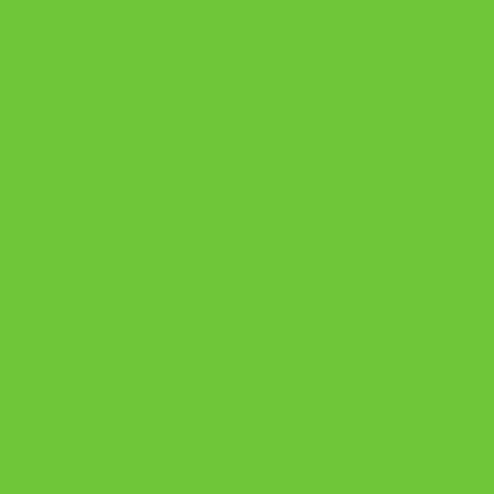 Термотрансферная пленка для плоттерной резки Quickflex Revolution 3655 Apple Green