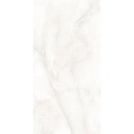 керамогранит evolution ceramic florida onyx silver 60х120 белый fos6060