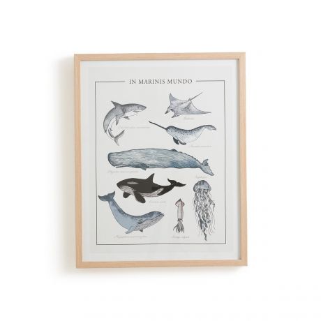 Постер LaRedoute Постер В рамке морские животные Baleia единый размер бежевый