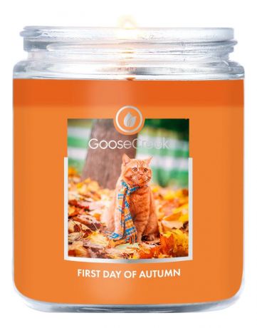 Ароматическая свеча First Day Of Autumn (Первый день осени): свеча 198г