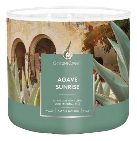 Ароматическая свеча Agave Sunrise (Агава санрайз): свеча 411г