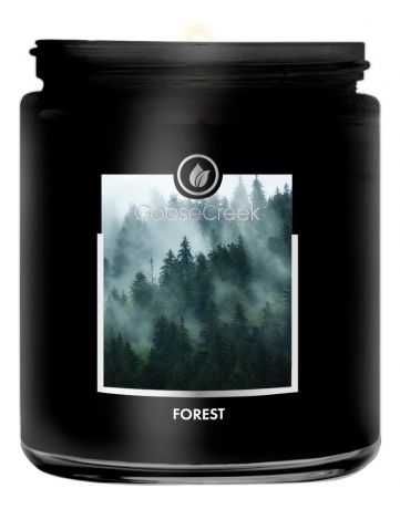 Ароматическая свеча Forest (Лес): свеча 198г