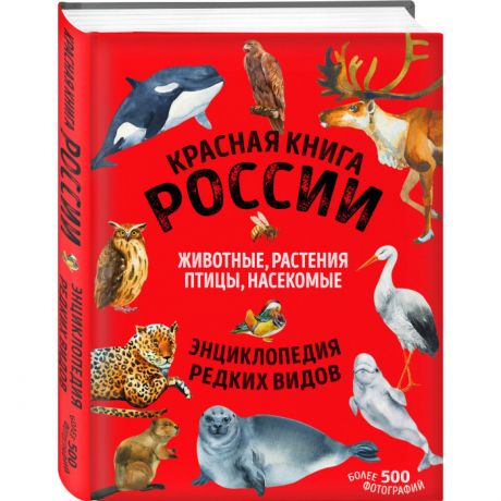 Раннее развитие Эксмо Красная книга России все о жизни дикой природы новый дизайн больше иллюстраций