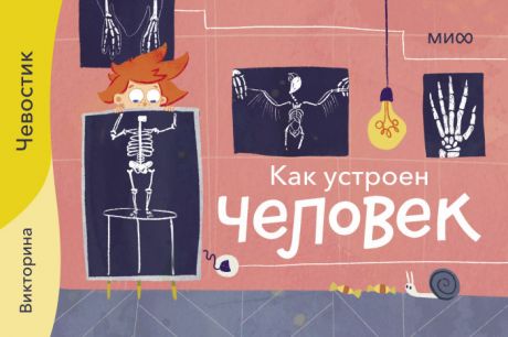 Настольные игры Издательство Манн, Иванов и Фербер Викторина Как устроен человек