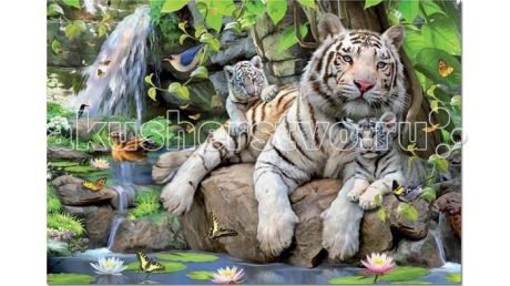 Пазлы Educa Пазл Белые Бенгальские Тигры 1000 элементов