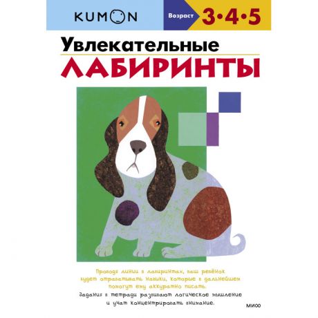 Развивающие книжки Издательство Манн, Иванов и Фербер Увлекательные лабиринты