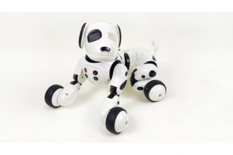 Интерактивные игрушки CS Toys собака робот Robot Dog