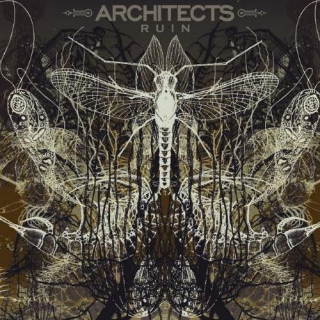 Architects Architects - Ruin (reissue)