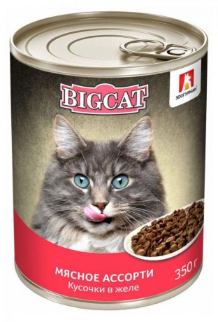 Корм консервированный для кошек Зоогурман BIG CAT мясное ассорти, 350 г