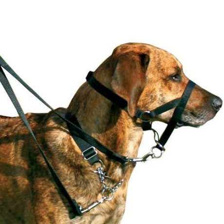 Намордник для собак TRIXIE тренировочный, M, 27см (длина шейного ремня 40-48см)
