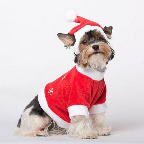 Пуловер для собак YORIKI Дед Мороз красный унисекс размер L