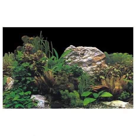 Фон для аквариумов и террариумов HOBBY РАСТЕНИЯ высота 50см, цена за 10см