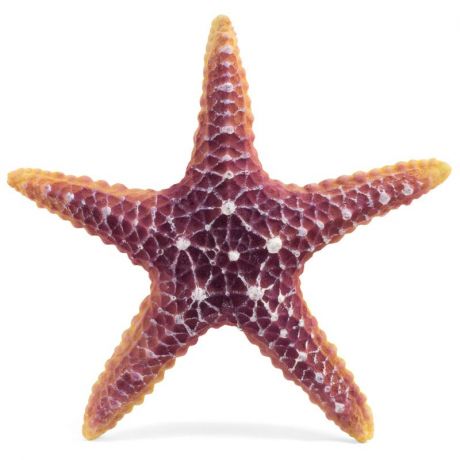 Декор для аквариумов Laguna Звезда морская большая 160х160х30мм