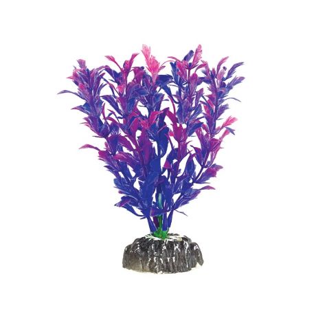 Растение Laguna Aqua Людвигия фиолетовая, 100мм