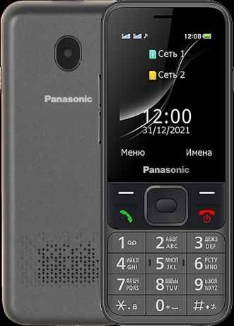 Кнопочный телефон Panasonic TF200 Dual SIM Gray