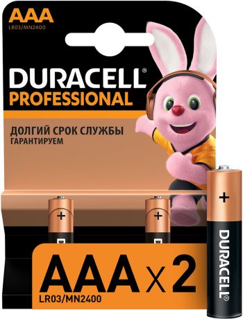 Элемент питания Duracell Professional AAA (2 шт)