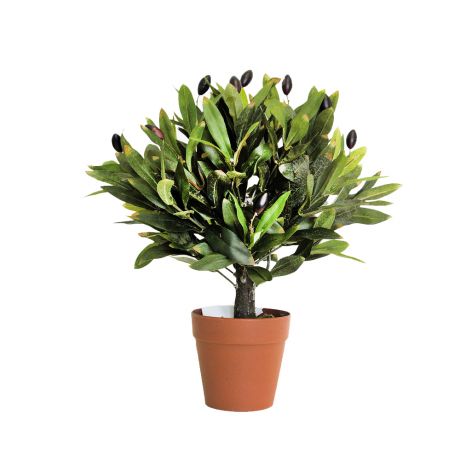 Растение искусственное Олива, размер: h50см, пластиковое кашпо