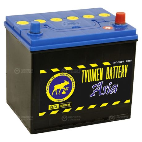 Tyumen Battery Автомобильный аккумулятор Tyumen Battery 65 Ач обратная полярность D23L