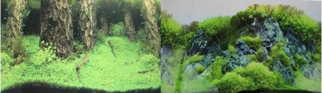 Prime фон для аквариума двусторонний Затопленный лес/Камни с растениями30х60см (9086/9087)