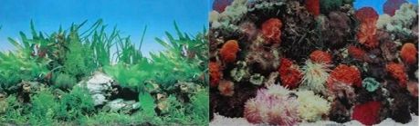 Prime Фон для аквариума двусторонний Кораллы/Растительный 30х60см (9001/9003)