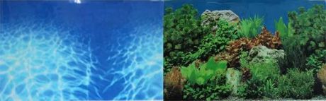 Prime Фон для аквариума двусторонний Синее море/Растительный пейзаж 50х100см(9063/9071)