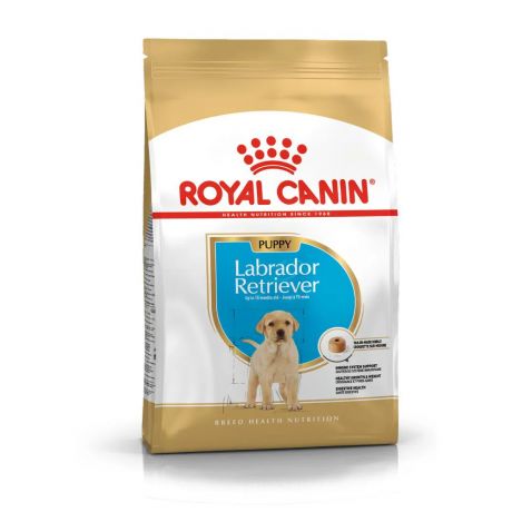 Royal Canin Labrador Retriever Junior 33 для щенков лабрадора до 15 месяцев, 3 кг
