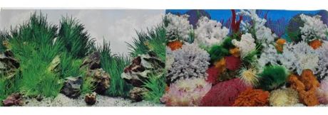 Prime Фон для аквариума двусторонний Морской пейзаж/Подводный рельеф 50х100см(9029/9030)