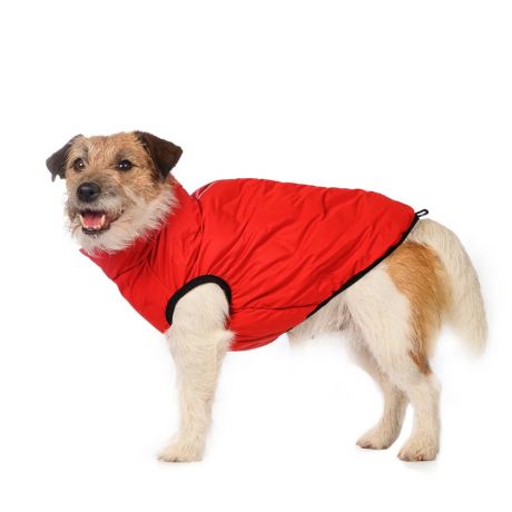 Rurri Куртка на молнии для собак M красный (унисекс)
