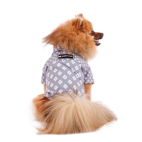 Petmax Рубашка для собак M голубой (унисекс)